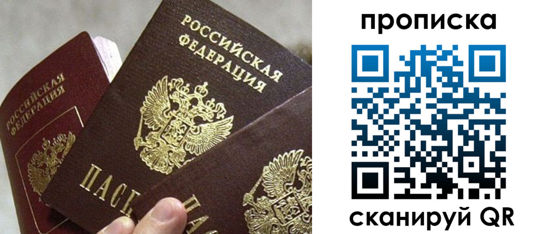 прописка 2025 в Гусь-Хрустальном